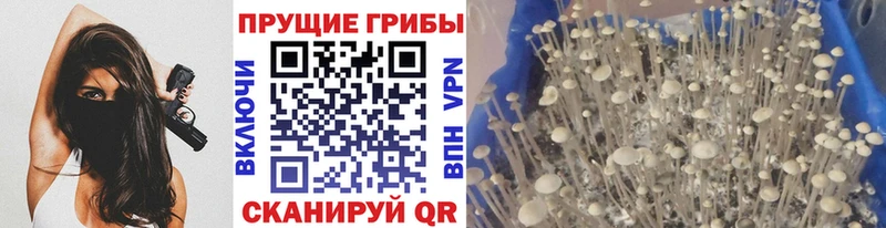 Псилоцибиновые грибы ЛСД хочу Чайковский